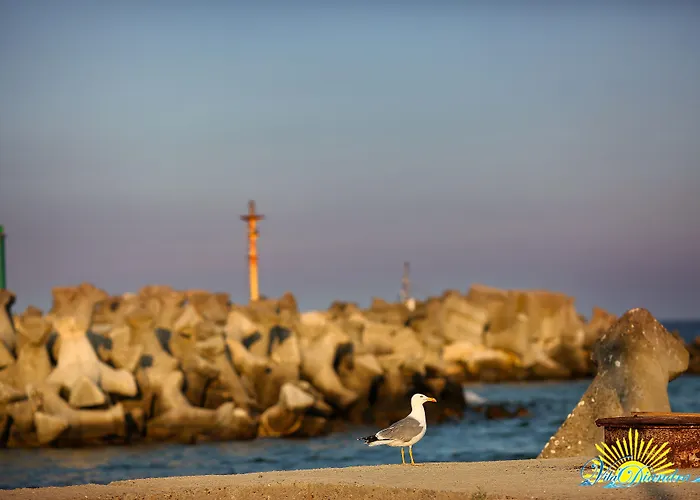 迪安德拉酒店 艾福雷诺德